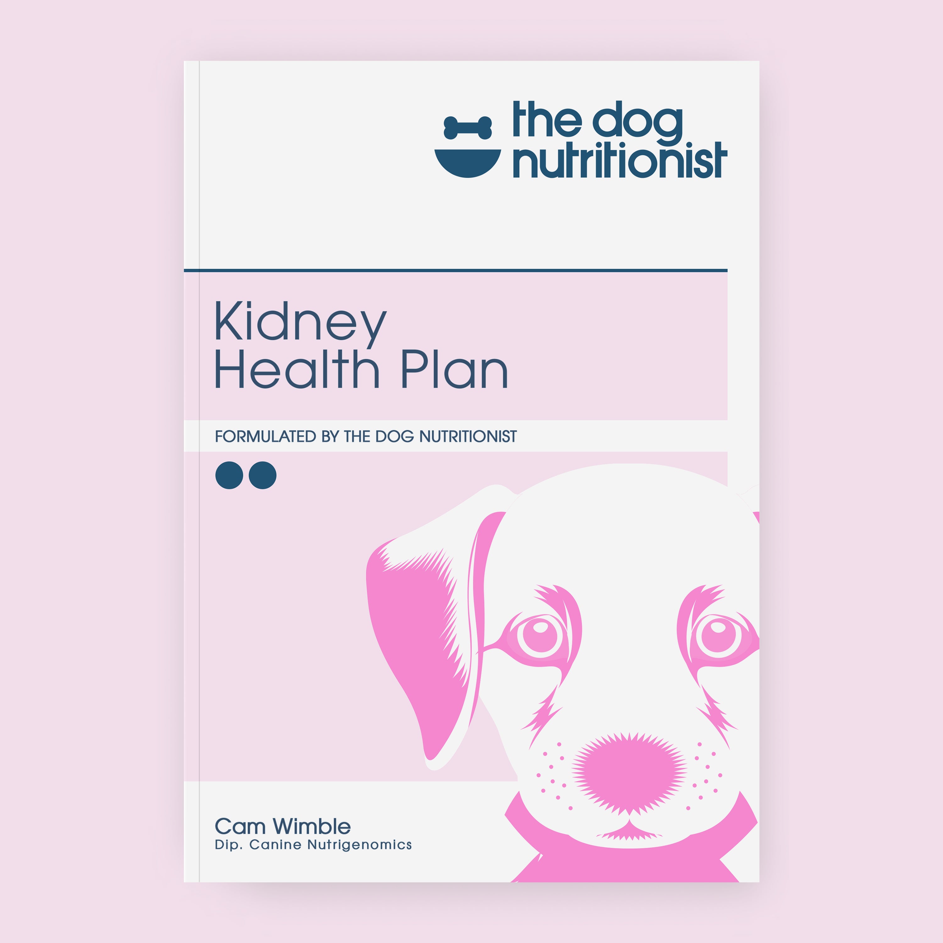 Dog kidney hotsell failure diet recipe