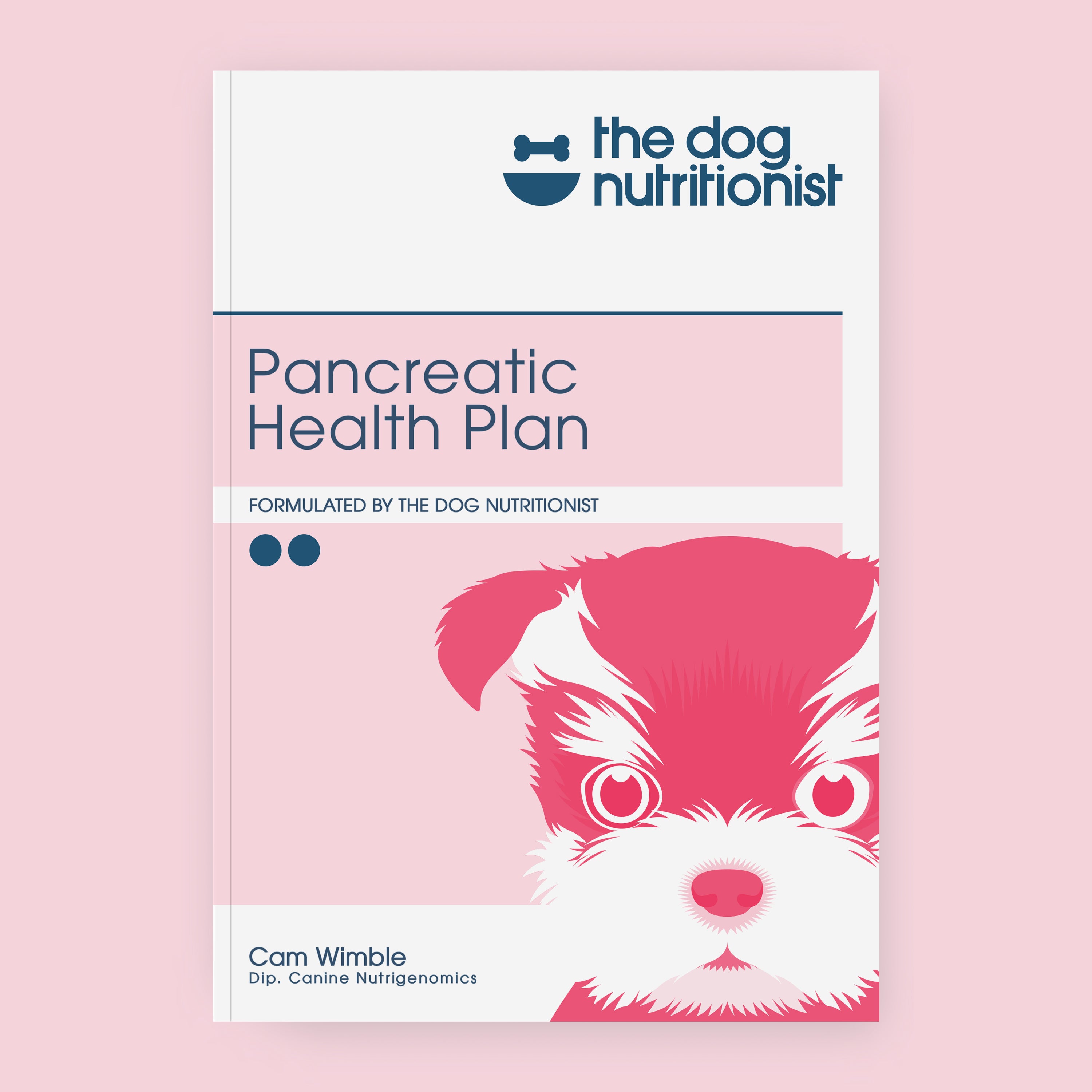 Pancreas Recipes The Dog Nutritionist